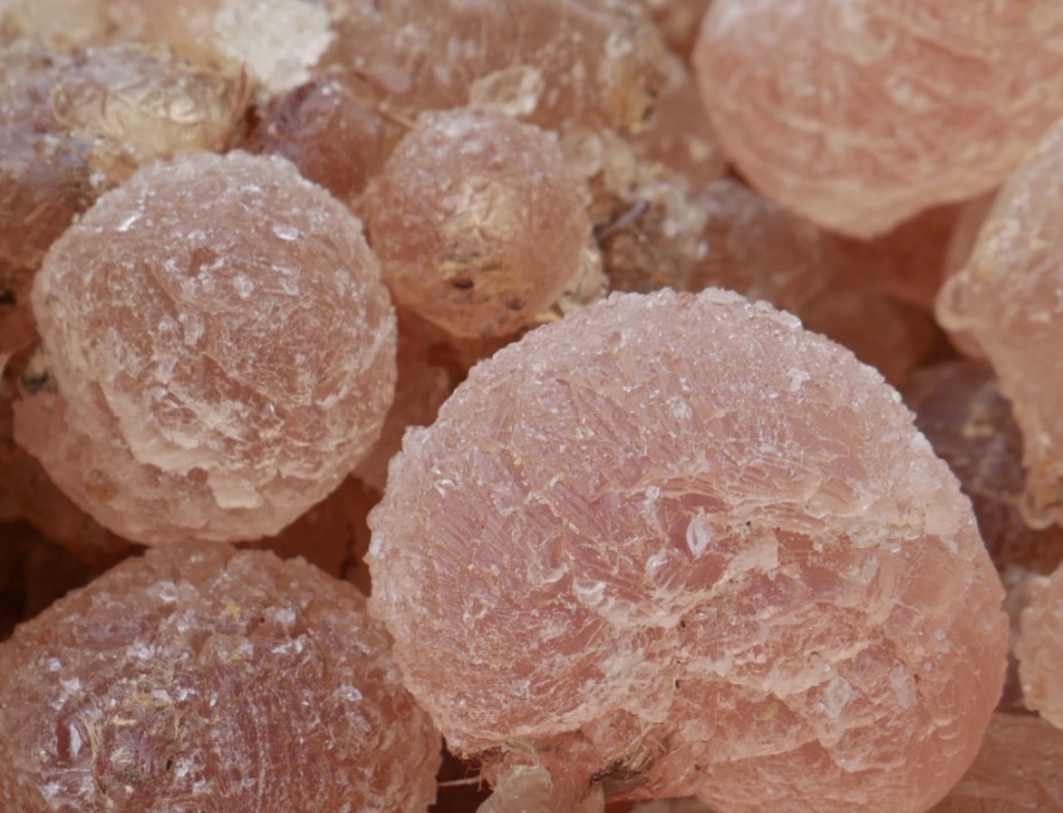 Gum Arabic Wholesale Distribution